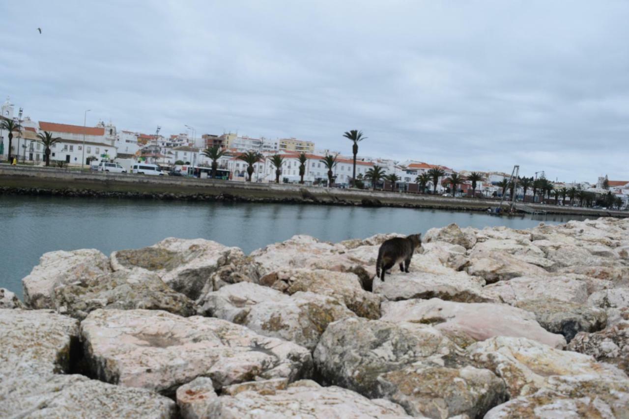 Beachcity Appartamento *